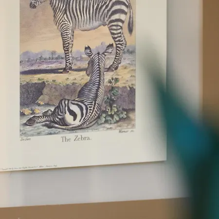 Apartamento A La R San Benedetto del Tronto